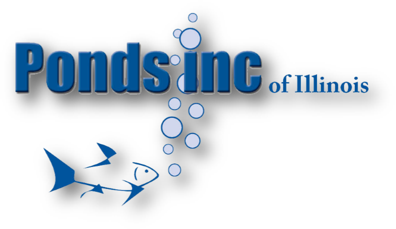 Picture - Pond (554x342), Png Download