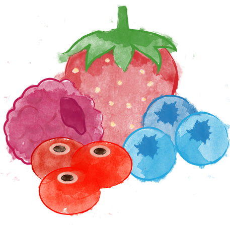 Compote - Illustration (457x447), Png Download