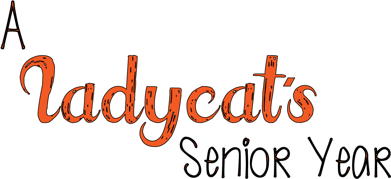 Portable Network Graphics (1380x703), Png Download