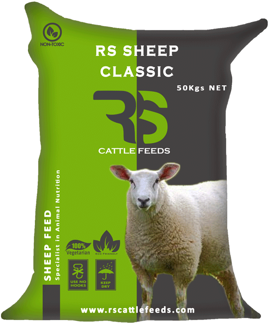 Feed Composition - Goat (600x698), Png Download