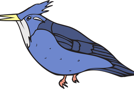 Bluejay Drawing In Flight - Clip Art (450x300), Png Download