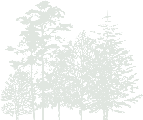 Green-trees - Omaha Home For Boys (619x453), Png Download