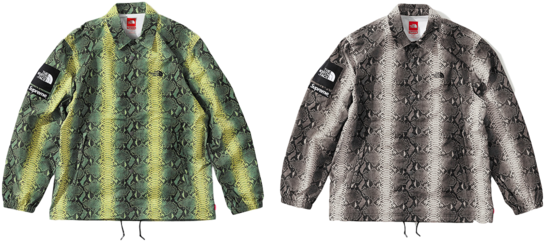 Supreme®/the North Face® Snakeskin Taped Seam Pant - Supreme Snakeskin North Face (600x400), Png Download