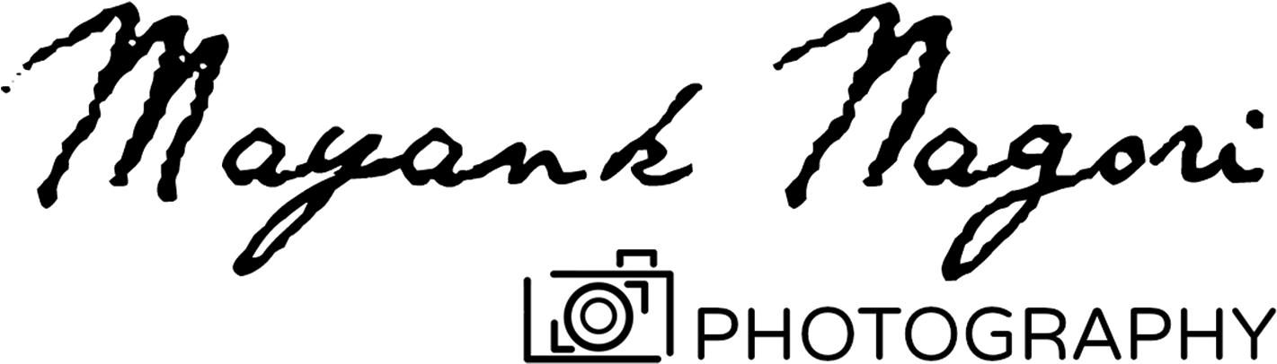 Mayank Nagori - Photographer - Asymmetric White Lace Earrings - Wedding Jewelry - (1600x543), Png Download