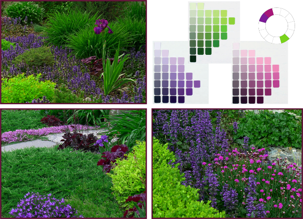 Analogous Complementary Colour Scheme - Complementary Colours In Garden (612x443), Png Download