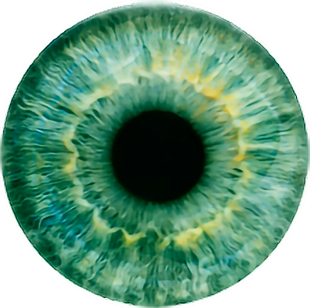 Eye Lense Lens Contactlens Greeneye Green Freetoedit - Eye Lens For Picsart (448x446), Png Download