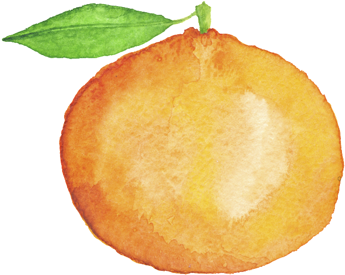 Hand Painted Orange Cartoon Transparent Fruit Png - 手繪 橘子 (1024x1024), Png Download