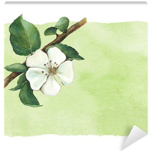 Background With Watercolor Apple Flowers Wall Mural - Für Immer Dein Lachen By Hart Kaui Hemmings 9783453358362 (400x400), Png Download