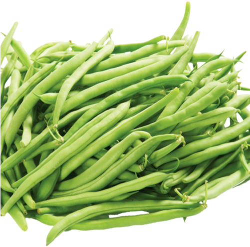 Green Beans Png (500x500), Png Download