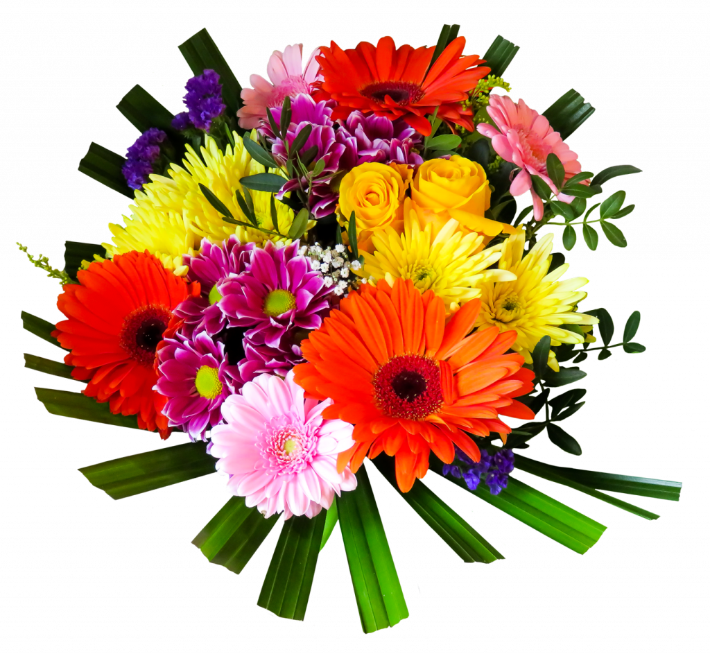From Birthday Parties To Anniversary Dinners, Floral - Flower Image Png Hd (1024x943), Png Download