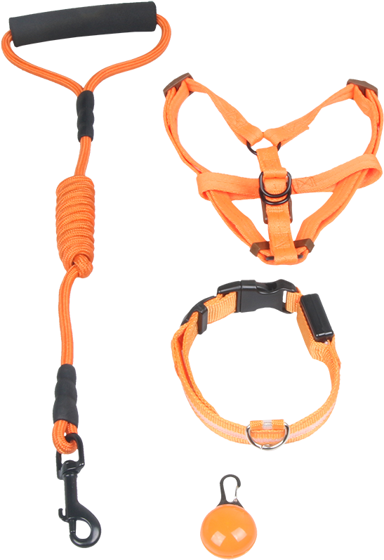 然锋 Dog Chain Dog Leash Chest Strap Teddy Golden Dog - Dog (800x800), Png Download