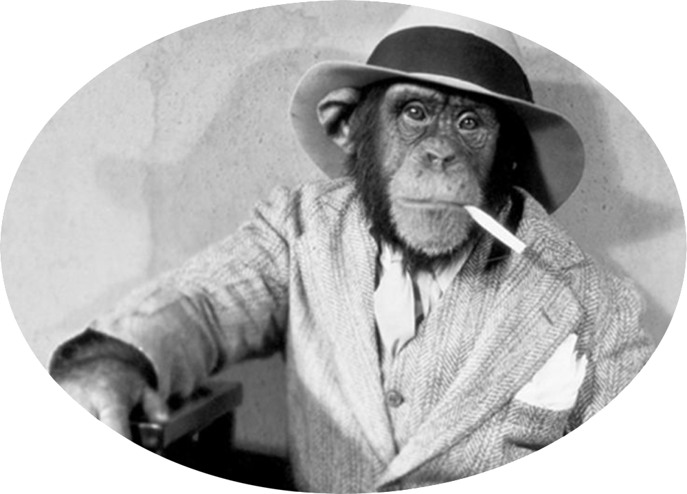 Monkeyartboard 1@300x - Gubben I Lådan [book] (1000x719), Png Download