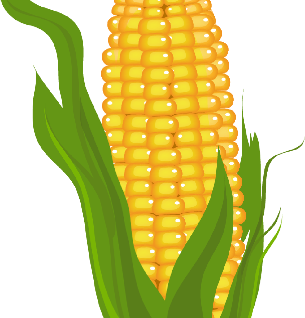 Corn Clipart Corn Clipart Free Corn Clipart Prints - Clip Art Of Corn (1024x1024), Png Download