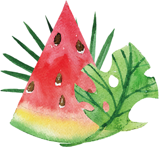 Watermelon (520x480), Png Download