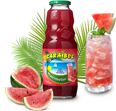 Guava - Watermelon (420x403), Png Download