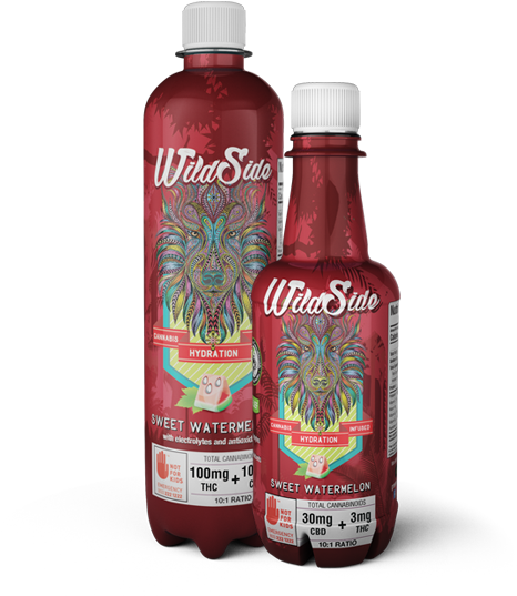 Previous - Green Revolution Wildside (560x576), Png Download