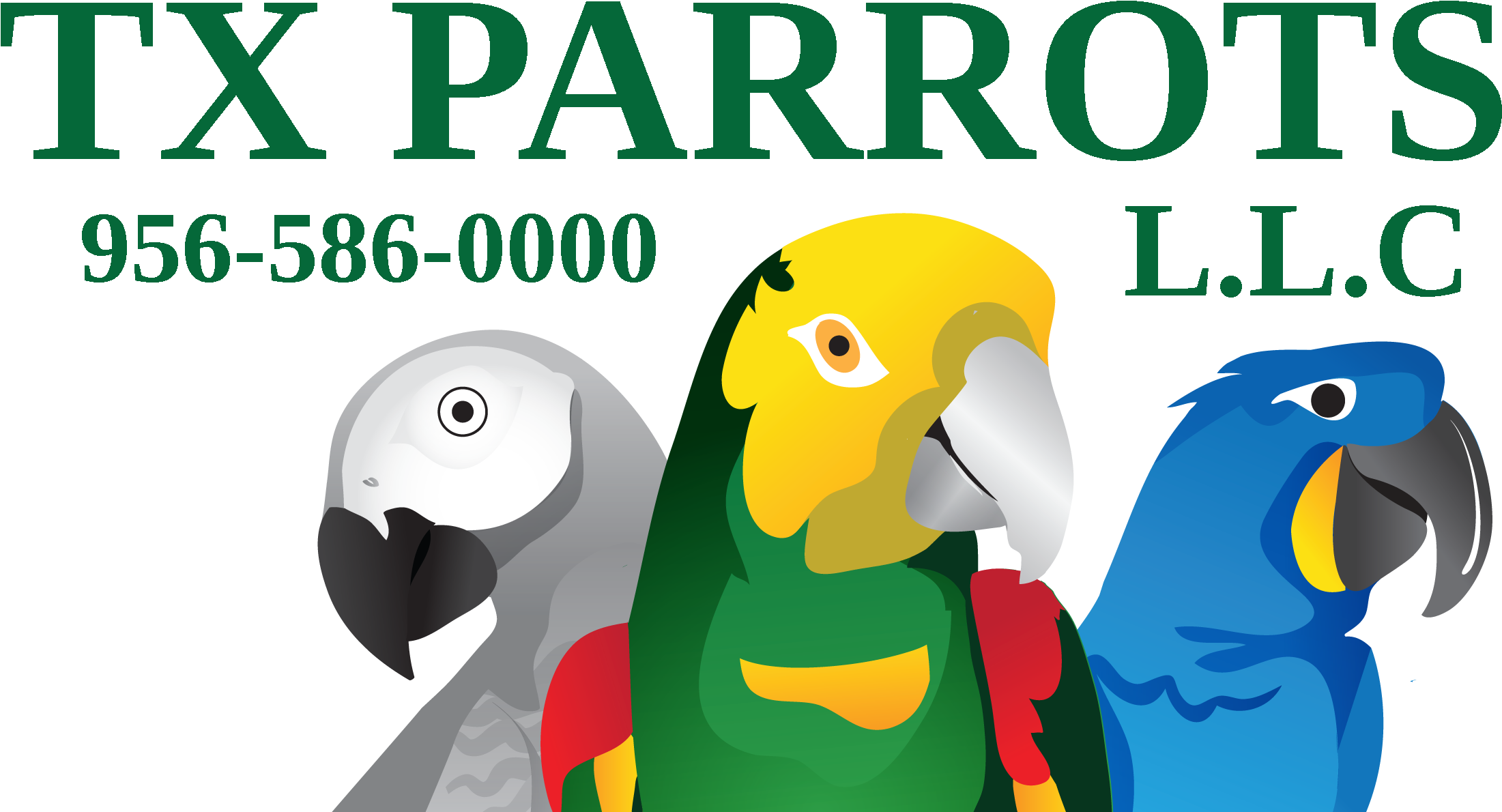 Tx Parrots L C - Parrot (3273x1313), Png Download