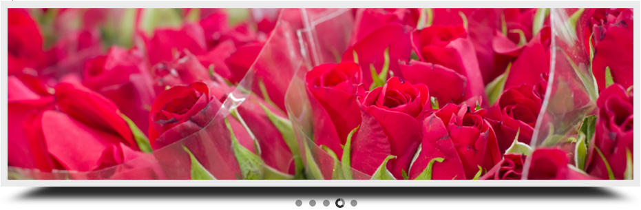 Contact Us - Garden Roses (931x305), Png Download