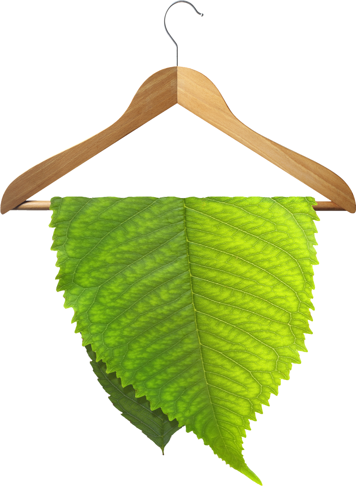 Environmentally Friendly Dry Cleaning - Eco Friendly Dry Cleaning (1200x1604), Png Download