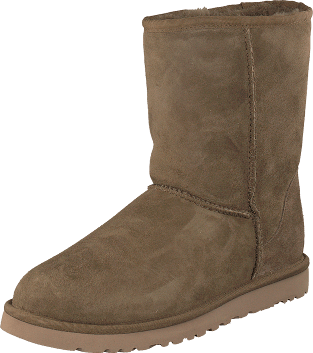 Short Dry Leaf - Shoe (624x705), Png Download