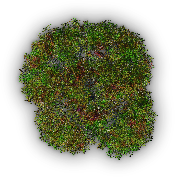 Download 789k Tree Jrl4c 06 Feb 2009 - Tree - HD Transparent PNG ...