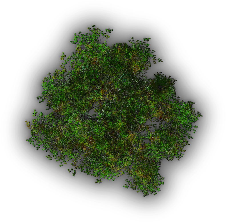 Download 08 721k Tree Jrl1b 06 Feb 2009 - Tree - HD Transparent PNG ...