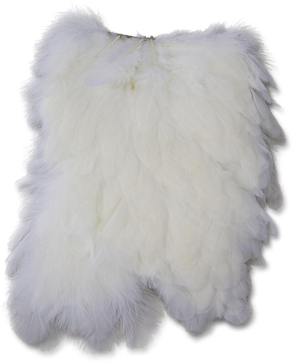 Hen Saddle - Fur Clothing (700x800), Png Download