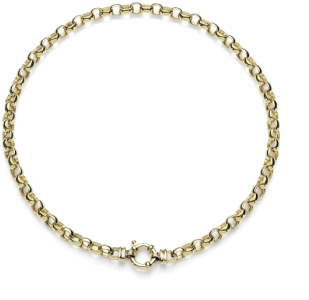 9ct Oval Belcher Necklace - Necklace (350x350), Png Download