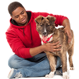 Your New Dog - Hinsdale Humane Society (610x320), Png Download