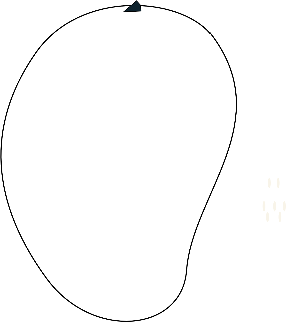 Mango Fruit Black White - Pre-approval (1979x1484), Png Download