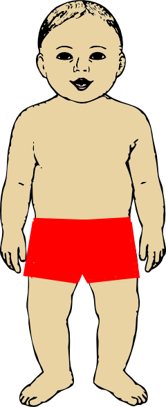 My - Clip Art (240x586), Png Download