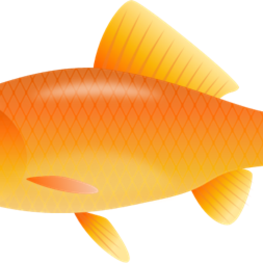 Goldfish Clipart Balloon Clipart Hatenylo - Goldfish (1024x1024), Png Download
