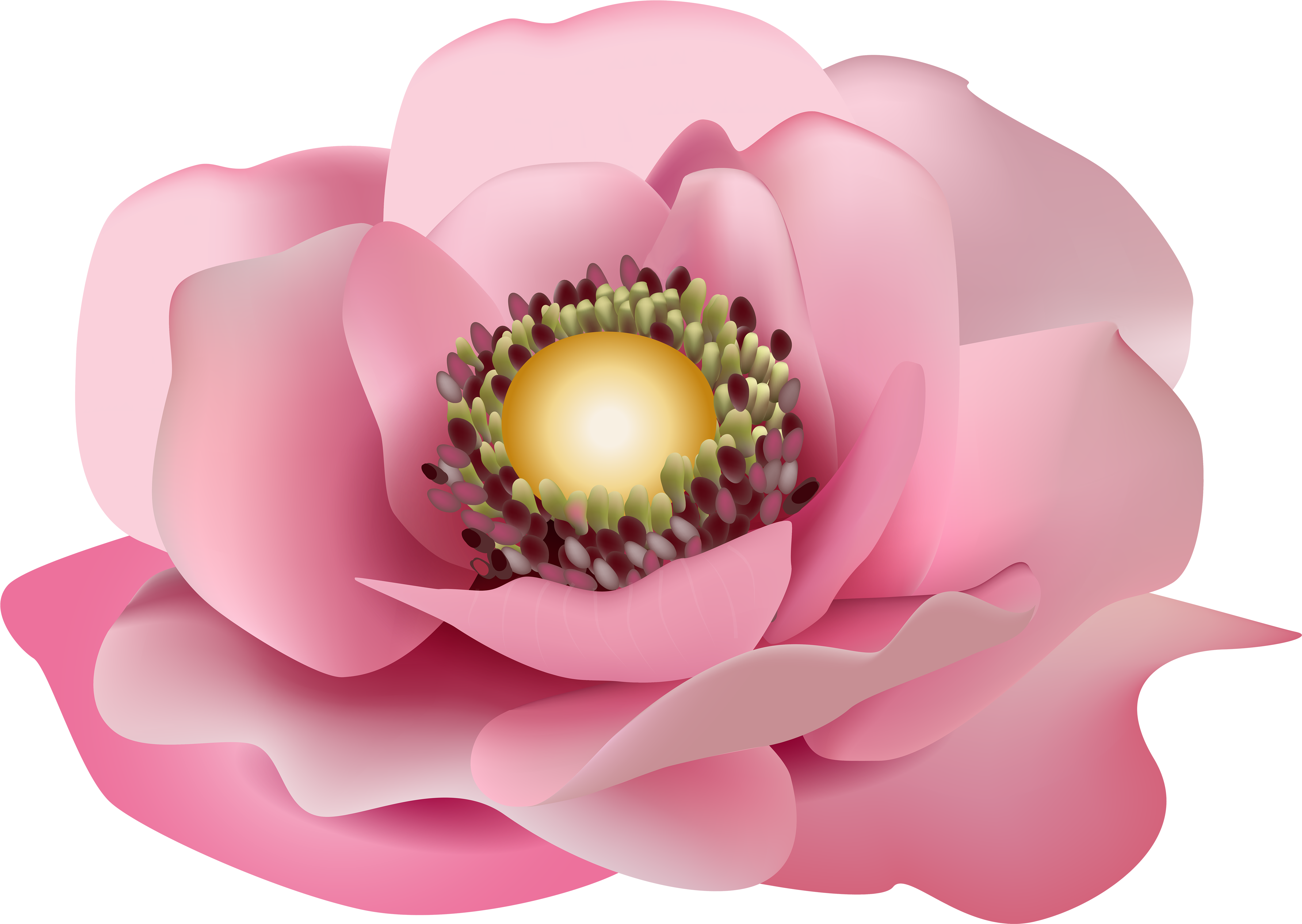 Pink Transparent Png Clip - Flower Pink Clipart (5000x3547), Png Download