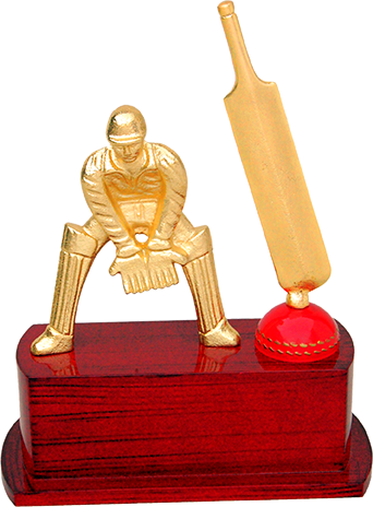 Metal Cricket Wicket Keeper Trophy, Shape - Cricket Trophies Png Transparent (342x464), Png Download