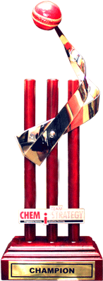 Cricket-trophy - Cricket World Cup Trophy (360x400), Png Download