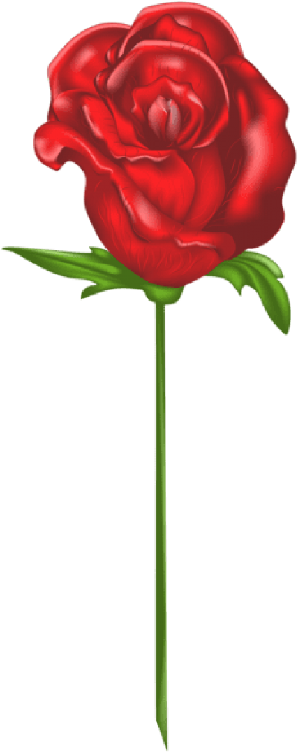 Clip Art (260x600), Png Download