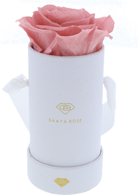 Single Round Rose Box - Box (450x660), Png Download