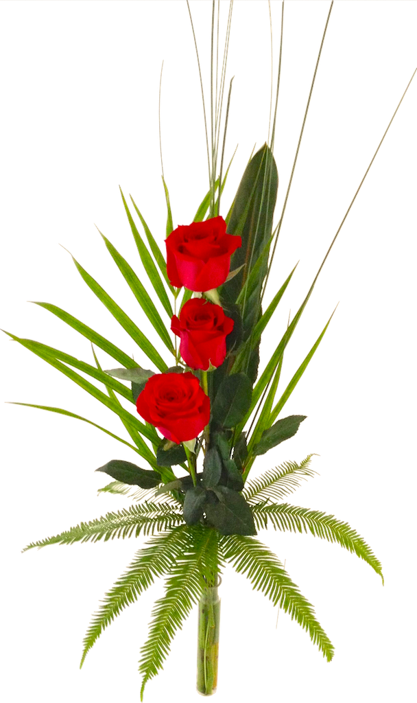 Long-stemmed Single Rose - Garden Roses (608x1024), Png Download