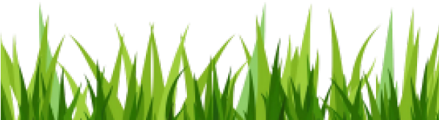 Caricatura Hierba (640x480), Png Download