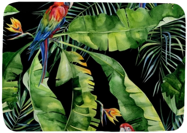 Strelitzia Reginae Flower - Obrazy Na Płótnie Tropical Papugi (400x400), Png Download