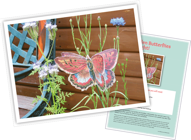 Garden 3d Butterfly Garden 3d Butterfly - Vintage Butterfly Oval Car Magnet (760x560), Png Download