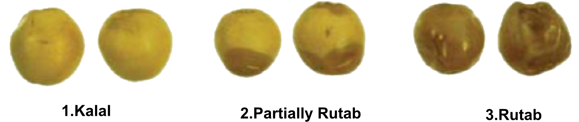The Color Of The Fruits Will First Change From Yellow - Passion Fruit (1921x427), Png Download
