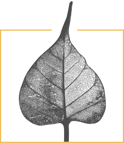 Illustration (435x501), Png Download
