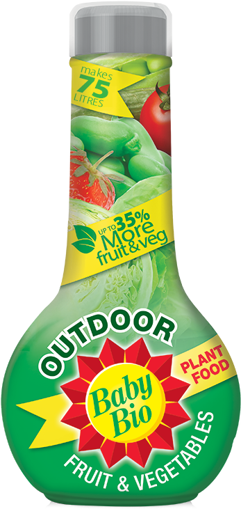 Next - Baby Bio Outdoor Plant Food (600x756), Png Download