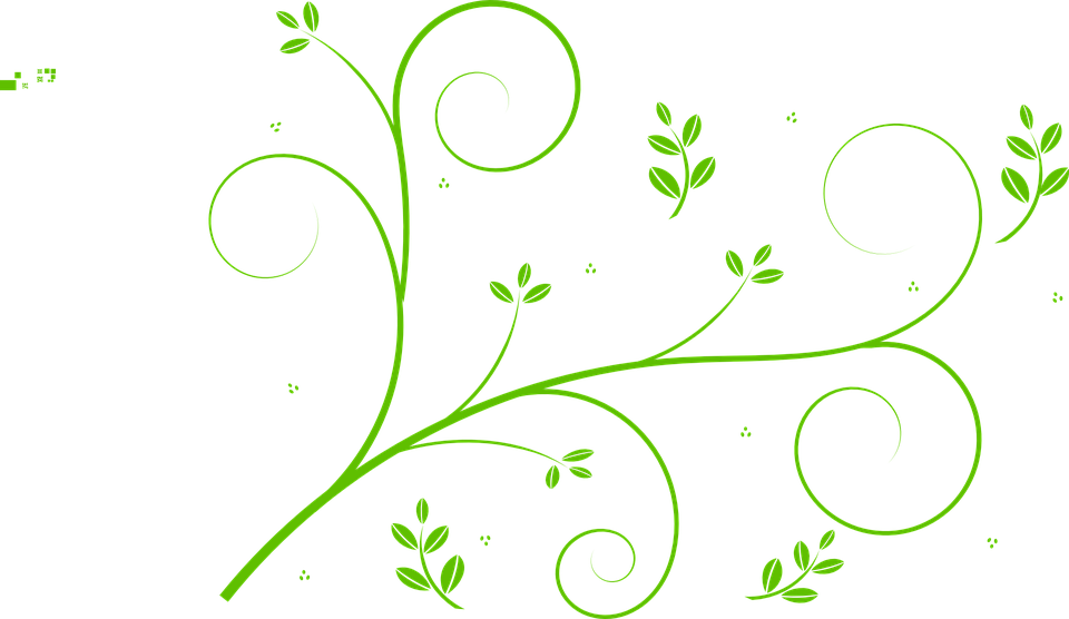 Floral Design 307132 960 720 - Green Vine Clip Art (960x556), Png Download