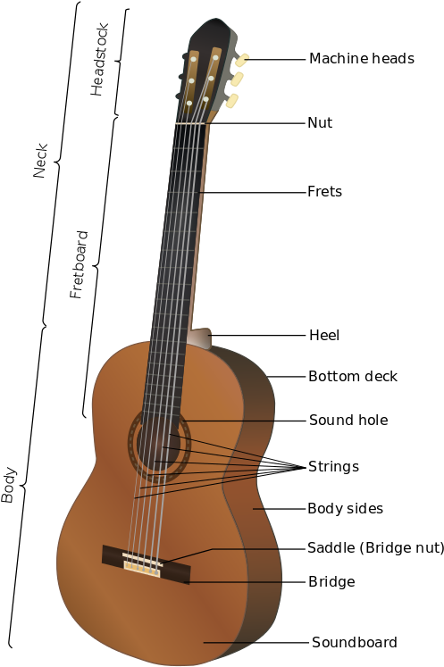 Acoustic Guitar Parts - Guitar Parts In French (558x768), Png Download