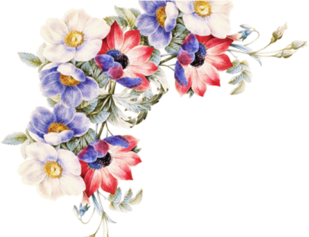 Women Of Flowers [book] (640x480), Png Download