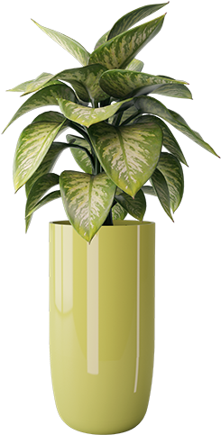 Stanley Plant Transparent - Flowerpot (500x571), Png Download