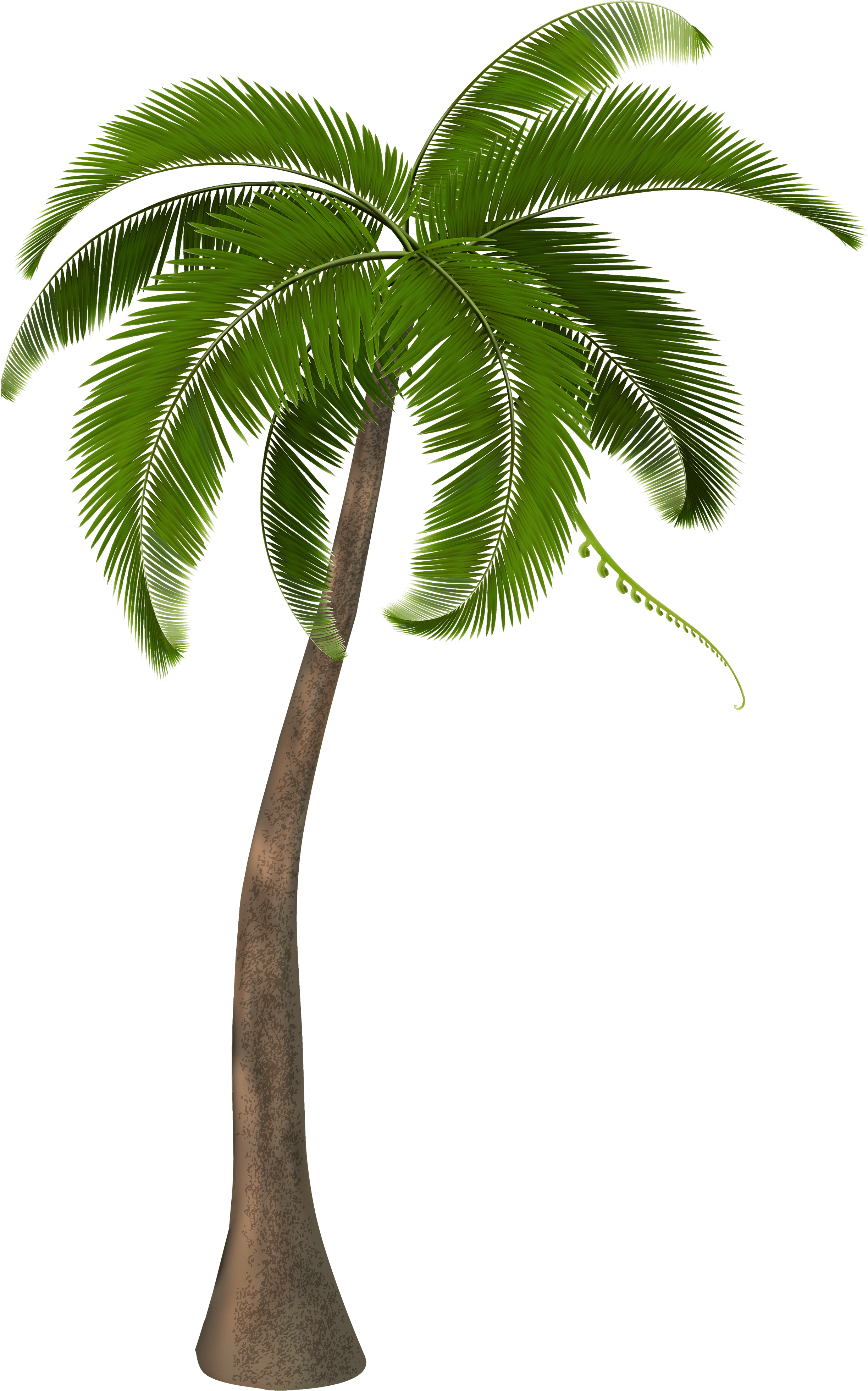 Beautiful Palm Tree Clipart - Ghetto Wave (375x600), Png Download