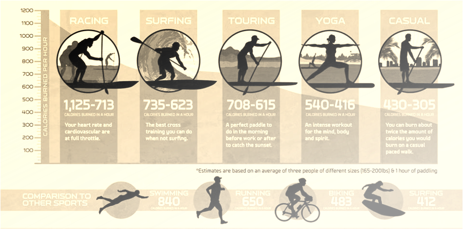 Picture - Stand Up Paddling Infographic (951x470), Png Download